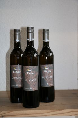 Bild von BIO Wein Muscaris 0,75L
