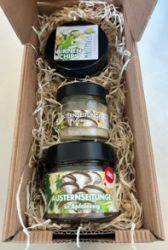 Bild von Pilzpaket 2