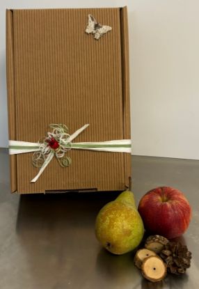 Bild von Apfelpaket