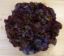 Picture of Salat rot