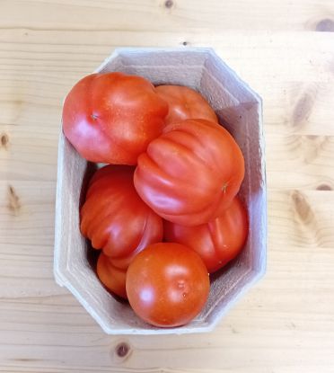 Bild von Tomaten gemischt 1kg