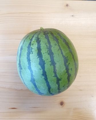 Picture of Melonen p. Stk.