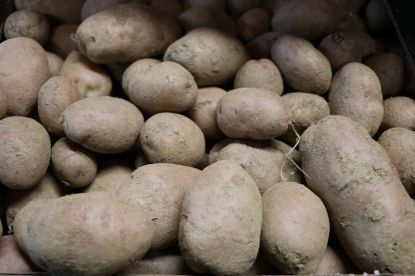 Bild von Kartoffel "Laura " 2 kg 