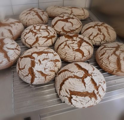 Picture of -50% 1/2 Bio-Roggenbrot